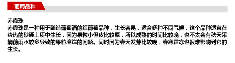 马克斯威红酒